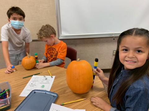 Kindergarteners measuring their pumpkins height!