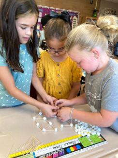 Students worked together to make the strongest bridge